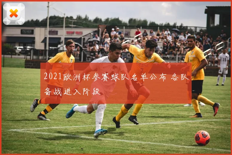 2021欧洲杯参赛球队名单公布 各队备战进入阶段