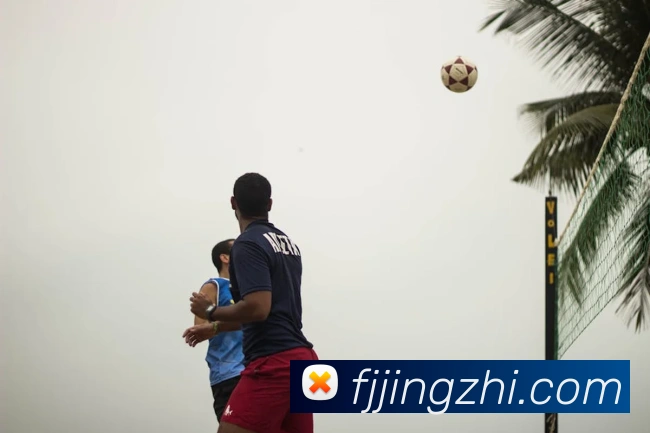 leyu网页版发展历程